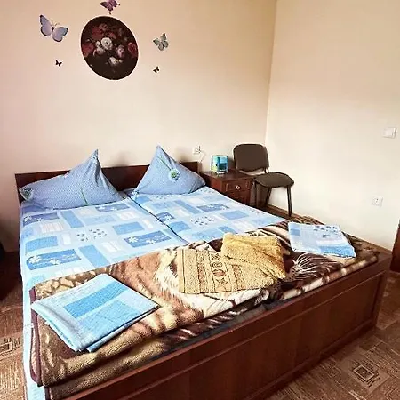 Ny To Abzatc * Slavske